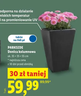 Donica kolumnowa promocja w Lidl
