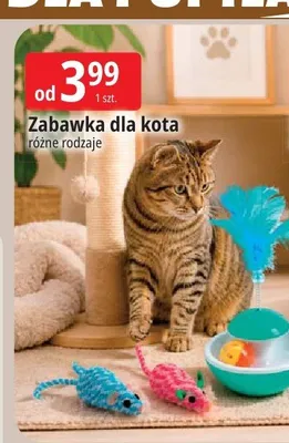 Zabawka dla kota promocja w Leclerc