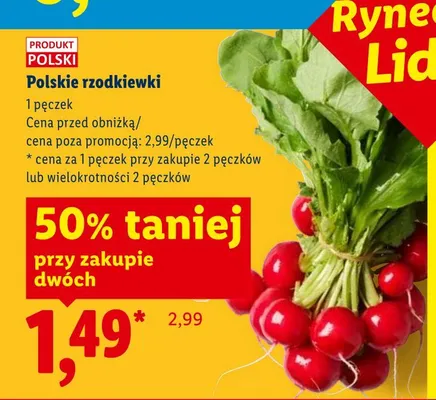 Rzodkiewki polskie promocja w Lidl