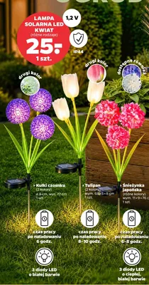 Lampa solarna LED kwiat promocja w Netto