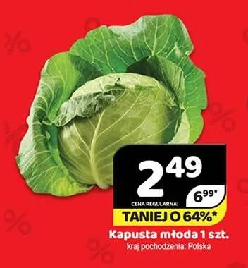 Kapusta młoda polska promocja w Delfin