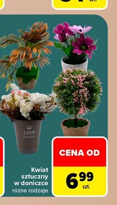 Kwiat sztuczny w doniczce promocja w Carrefour