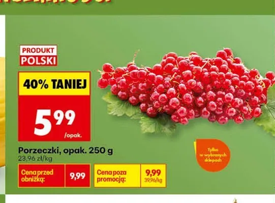 Porzeczki promocja w Biedronka
