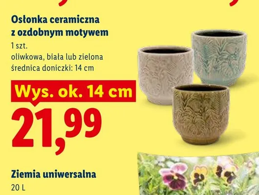 Ziemia uniwersalna promocja w Lidl