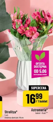 Astromeria bukiet promocja w POLOmarket