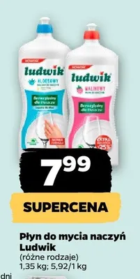 Płyn do mycia naczyń promocja w Netto