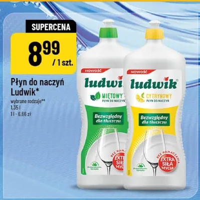 Płyn do naczyń Ludwik Miętowy promocja w POLOmarket