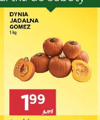 Dynia jadalna Gomez promocja w Stokrotka