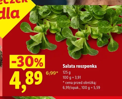 Sałata roszponka promocja w Lidl