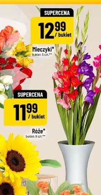 Mieczyki promocja w POLOmarket