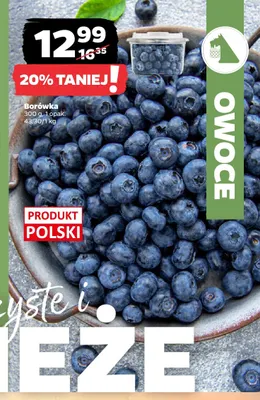 Borówka promocja w Netto