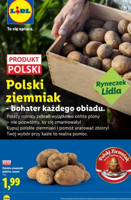 Ziemniaki jadalne polskie promocja w Lidl