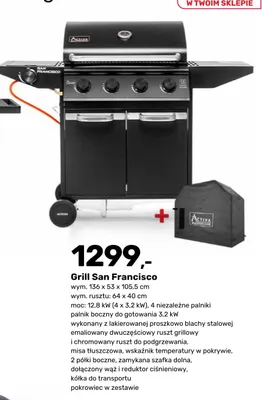 Katalog ogród, strona 46 promocja w Bricomarche