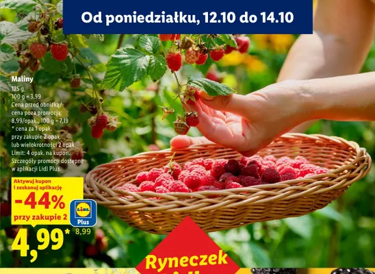 Maliny promocja w Lidl