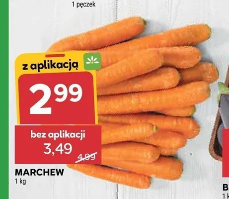 Marchew promocja w Stokrotka