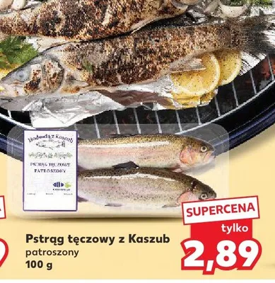 Pstrąg tęczowy z Kaszub patroszony promocja w Kaufland