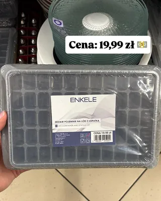 Zestaw pojemnik na lód z łopatką Enkele promocja w Dino