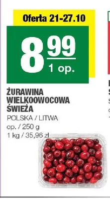 Żurawina wielkoowocowa świeża promocja w SPAR
