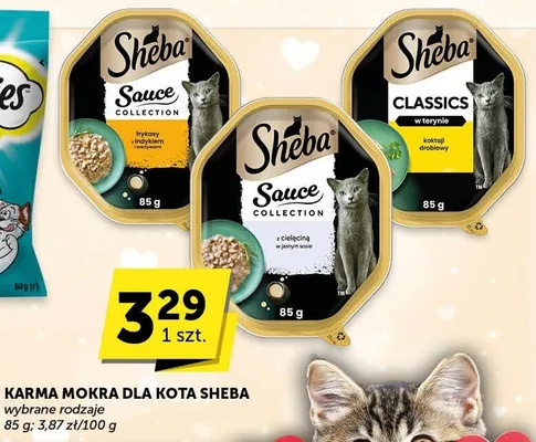 Karma mokra dla kota Sheba promocja w Euro Sklep