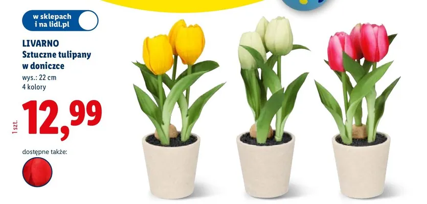Sztuczne tulipany w doniczce promocja w Lidl