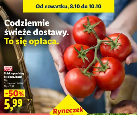 Pomidory kiściowe polskie luzem promocja w Lidl