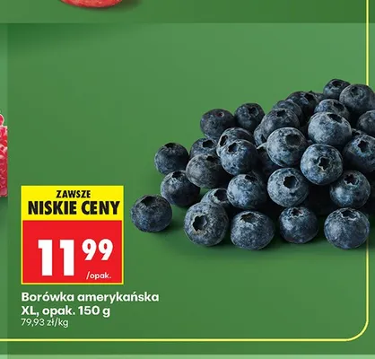 Borówka amerykańska XL promocja w Biedronka