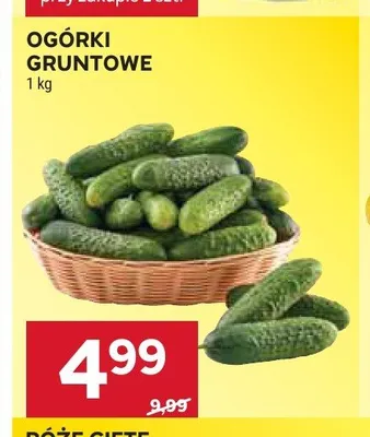 Ogórki gruntowe promocja w Stokrotka