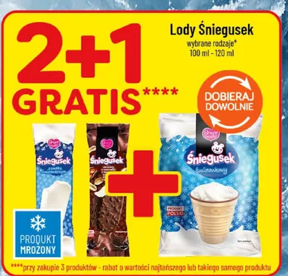 Lody Śniegusek wybrane rodzaje promocja w POLOmarket