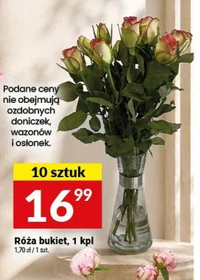 Róża bukiet 10-pak promocja w Twój Market