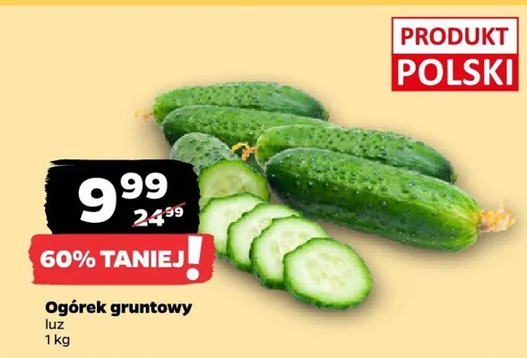 Ogórek gruntowy promocja w Netto