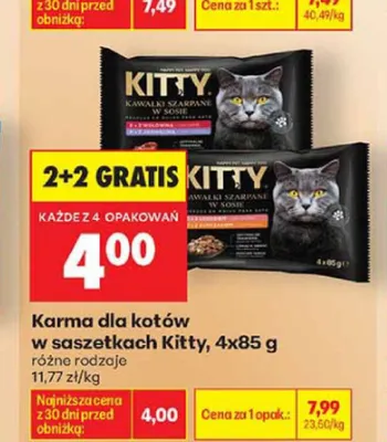 Karma dla kotów w saszetkach Kitty promocja w Biedronka