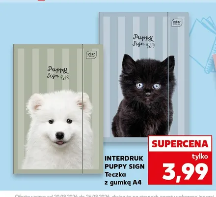 Teczka z gumką A4 Interdruk Puppy Sign promocja w BACK TO SCHOOL