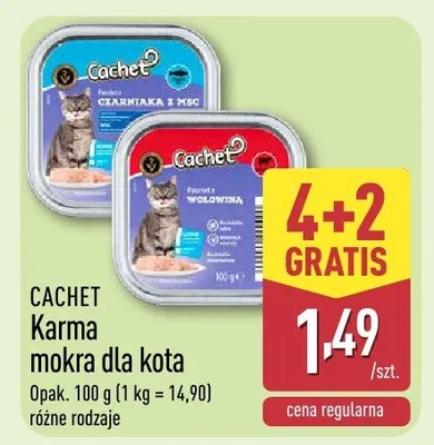 Karma mokra dla kota Cachet promocja w Aldi