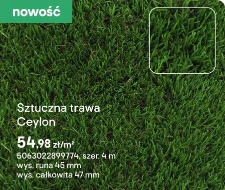 Sztuczna trawa Ceylon promocja w Castorama
