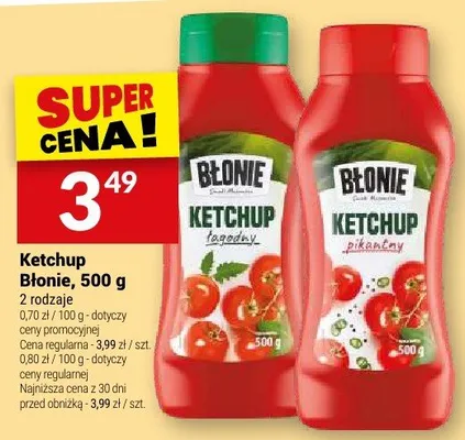 Ketchup Błonie pikantny promocja w Twój Market