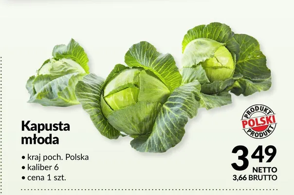 Kapusta młoda Polska promocja w Makro