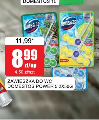 Zawieszka do wc Domestos Power 5 2-pak 50 g promocja w Bingo