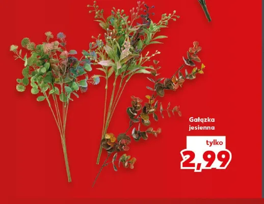 Gałązka jesienna promocja w Kaufland