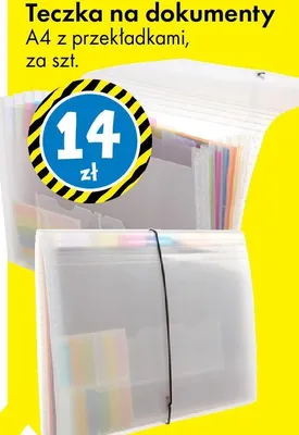 Teczka na dokumenty A4 z przekładkami promocja w Tedi