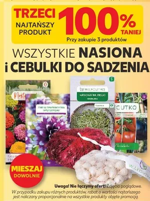 Nasiona i cebulki do sadzenia promocja w Kaufland