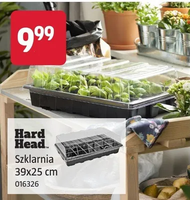 Szklarnia 39x25 cm promocja w Jula