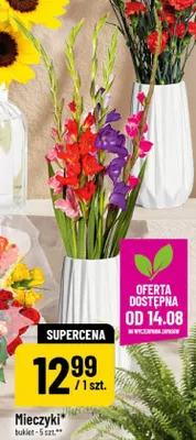Mieczyki bukiet 5-pak promocja w POLOmarket