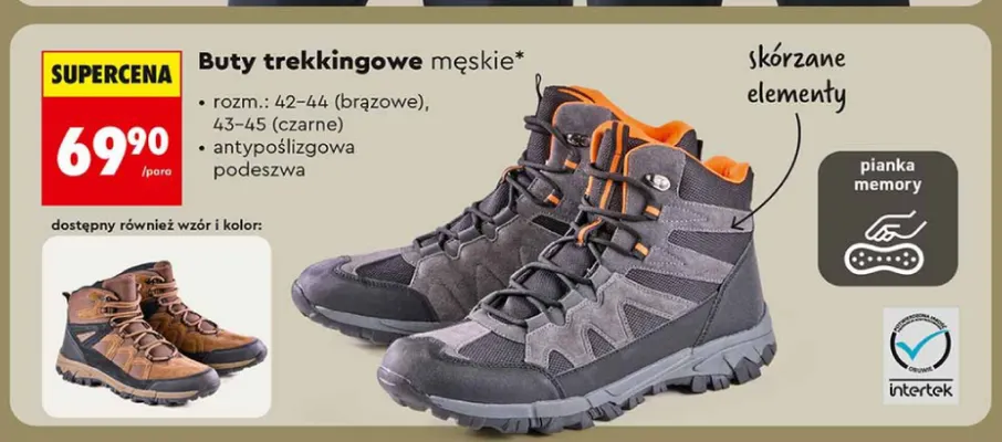 Buty trekkingowe męskie Go Active promocja w Biedronka