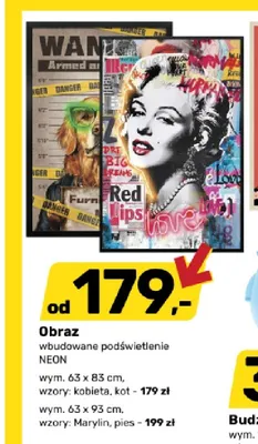 Obraz z podświetleniem Neon kot promocja w Bricomarche