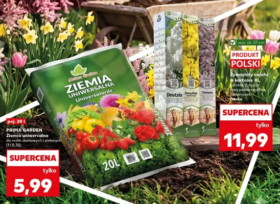Ziemia uniwersalna do roślin domowych i zielonych promocja w Kaufland