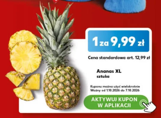 Ananas XL promocja w Kaufland