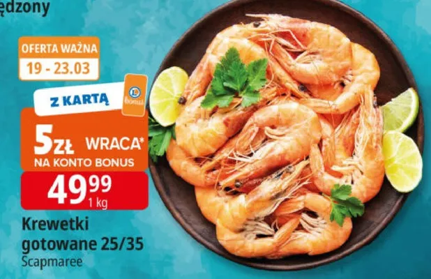 Krewetki gotowane 25/35 promocja w Leclerc
