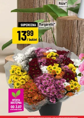 Margaretki promocja w POLOmarket