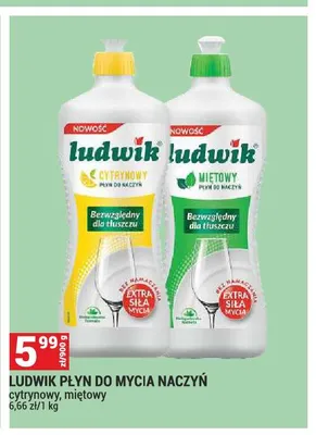 Płyn do mycia naczyń Ludwik cytrynowy promocja w Merkury Market