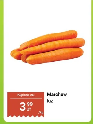 Marchew luz promocja w Biedronka